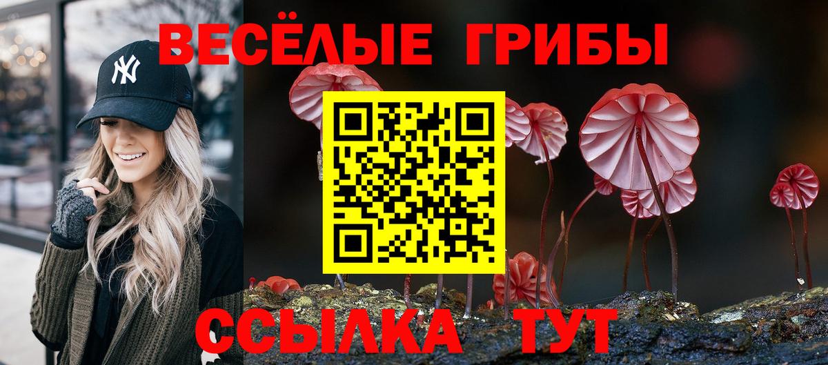 Псилоцибиновые грибы мухоморы Крымск